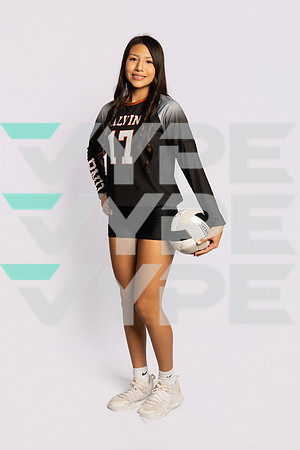0F9A0716-ALVIN_VOLLEYBALL-(BROWN)