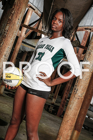vypevolleyball2016_023