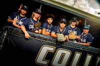 KLEIN_COLLINS_BSBL_115-(BCC)