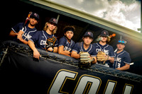KLEIN_COLLINS_BSBL_116-(BCC)