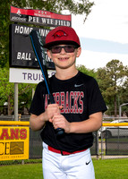 Razorbacks