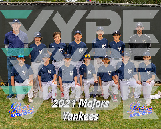 POLL Team Majors Yankees 2021