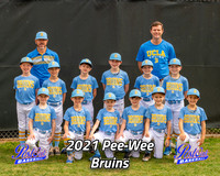 POLL Team Pee-Wee Bruins 2021