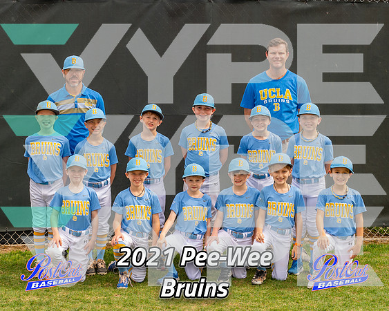 POLL Team Pee-Wee Bruins 2021