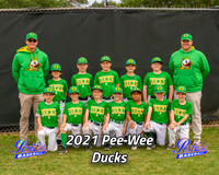 POLL Team Pee-Wee Ducks 2021