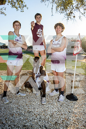 SACS_TNF_-(COOK)-9