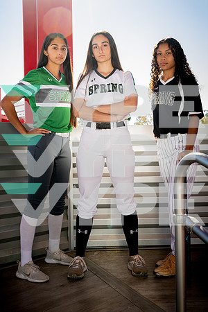 SPRING_SFBL__28-(WRIGHT)