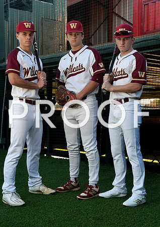 No. 15 - Cy Woods