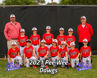 POLL Team Pee-Wee Dawgs 2021