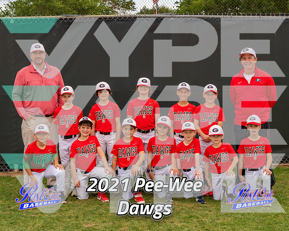 POLL Team Pee-Wee Dawgs 2021