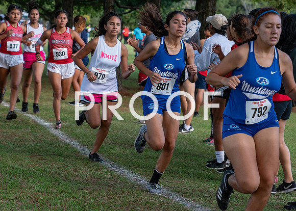 XC_Aldine-20