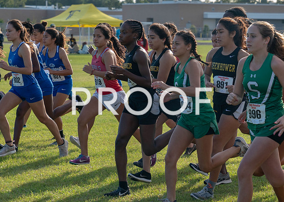 XC_Aldine-16
