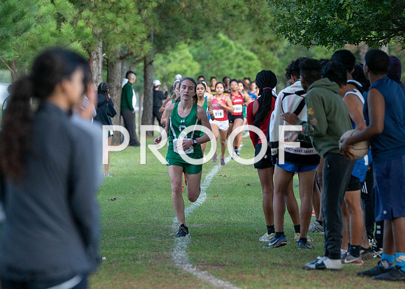 XC_Aldine-23