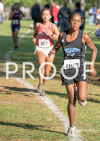 XC_Aldine-26