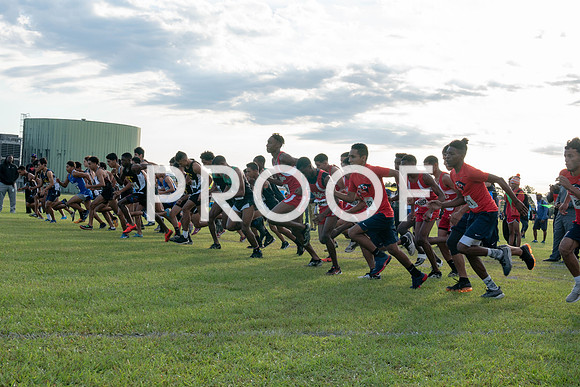 XC_Aldine-1