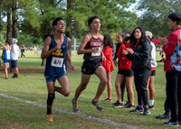 XC_Aldine-10