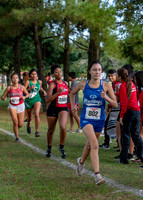 XC_Aldine-19