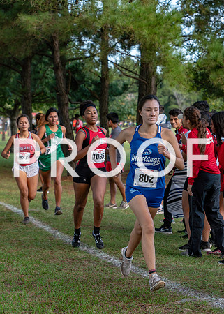 XC_Aldine-19