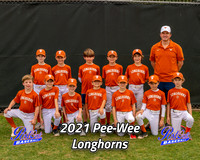 POLL Team Pee-Wee Longhorns 2021
