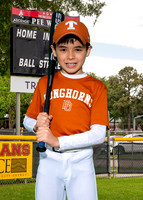 Longhorns