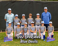 POLL Team Pee-Wee Blue Devils 2021