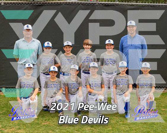 POLL Team Pee-Wee Blue Devils 2021