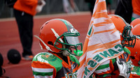DSC08385