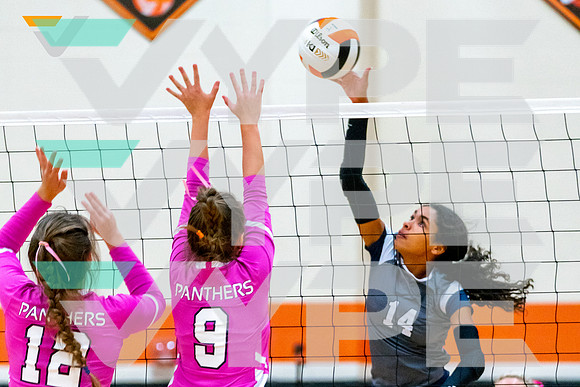 48-SPX_CONCORDIA_VB__Sydney Whitfield-(BCC)