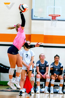07-CONCORDIA_VB__Brooke Frazier-(BCC)
