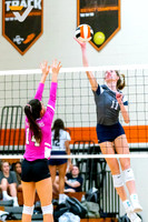 12-SPX_CONCORDIA_VB__Shelby Stark-(BCC)