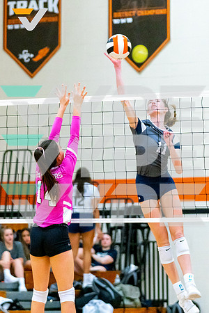 12-SPX_CONCORDIA_VB__Shelby Stark-(BCC)