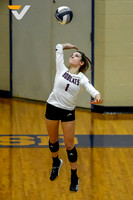 09-CYFAIR_DEERPARK_VB_-(BCC)
