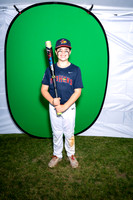 Mudhens