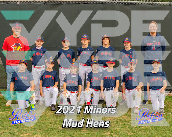 POLL Team Minors Mud Hens 2021