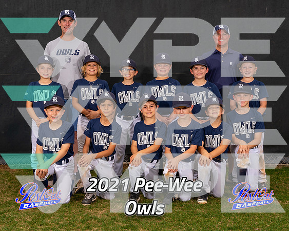 POLL Team Pee-Wee Owls 2021