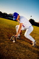 TCA_BSBL_118-(BCC)