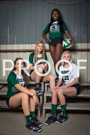 vypevballpreview2018_TWCA