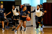 FOSTER_CYSPRINGS_GBB__77-(BCC)