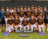 POLL Team Juniors Padres 2021