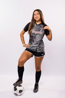 TERRY_GSOC_-(BROWN)-071
