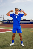 ALDINE_SOC-(BROWN)-567