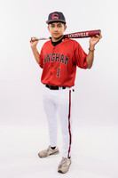 LANGHAM CREEK_BSBL-(BROWN)-221