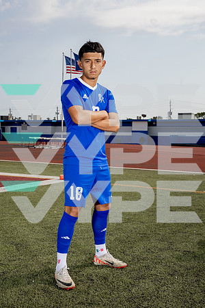 ALDINE_SOC-(BROWN)-595