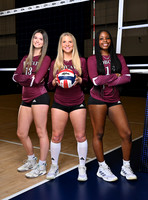 CY_FAIR_1672-(SHEEREN)