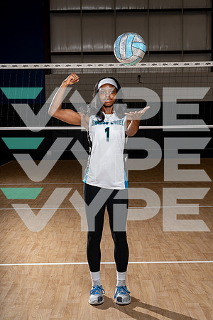 SHADOW_CREEK_VB_00500-(COLLIER)