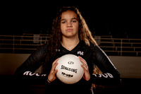 ROUND_ROCK_VB_00463-(COLLIER)