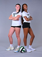 Volleyball