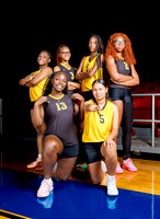 Volleyball