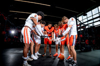 BRIDGELAND_FB_02043-(COLLIER)