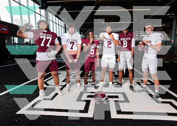CY_FAIR_0689-(BROWN)